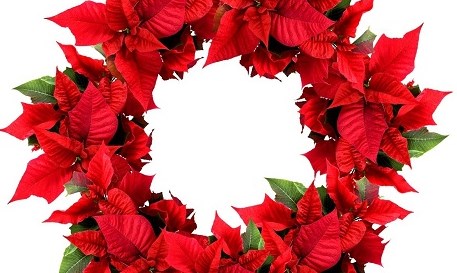 Đề thi học sinh giỏi lớp 5 môn Tiếng Việt - Đề số 4